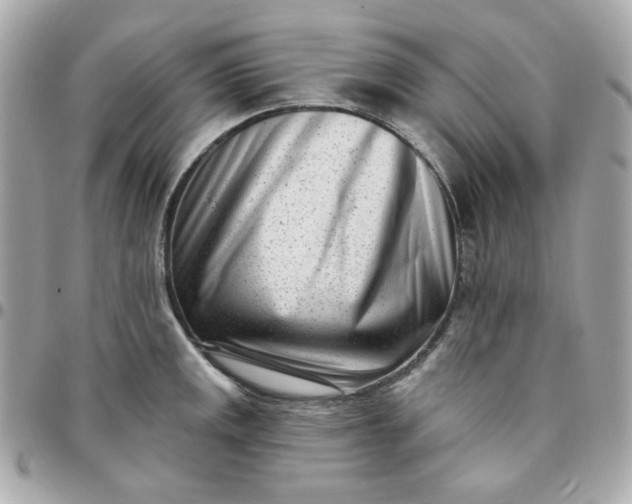 X0000096211141200802011316