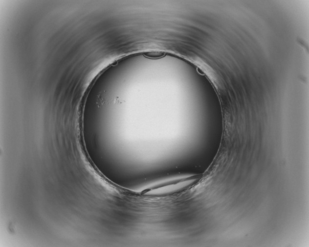 X0000096211142200802011316