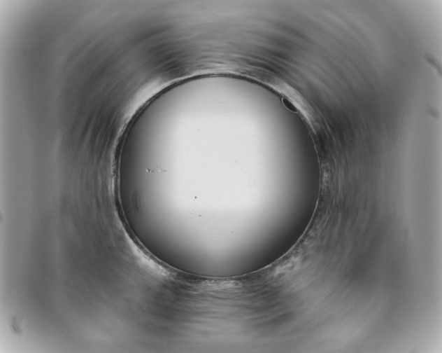 X0000096211143200802011316