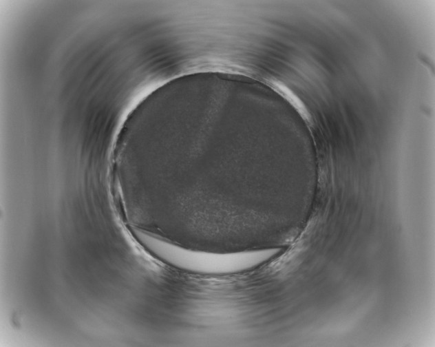 X0000096211144200802011316