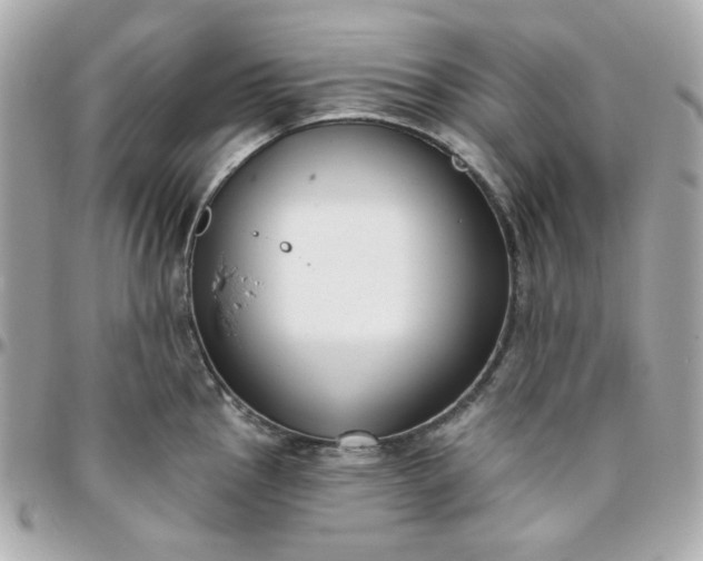 X0000096211145200802011316