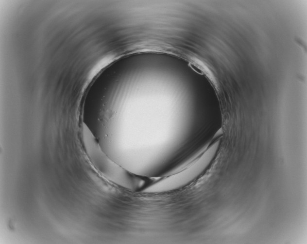 X0000096211146200802011316