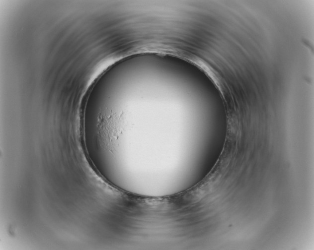 X0000096211147200802011316