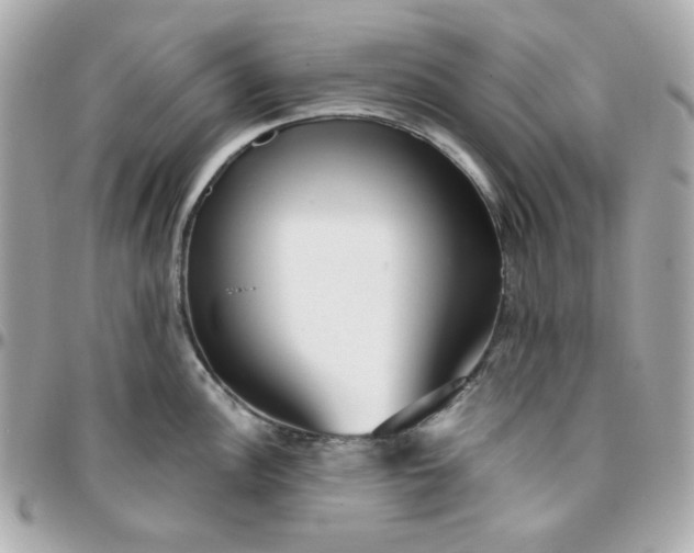 X0000096211148200802011316