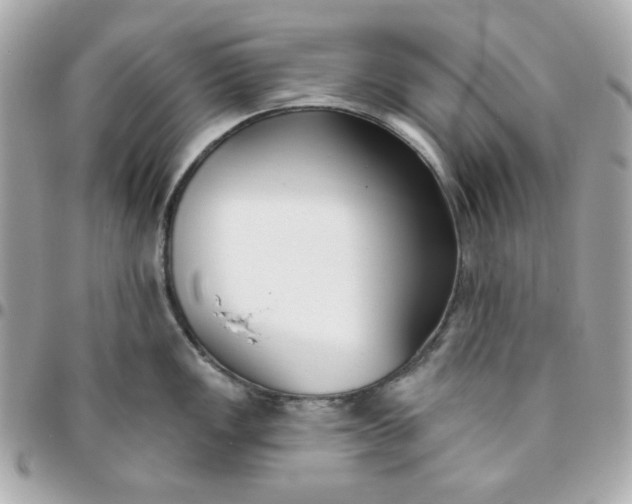 X0000096211149200802011316