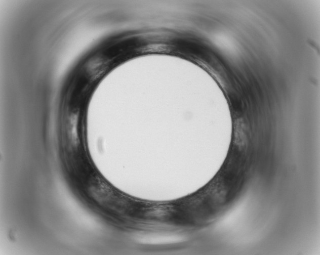 X0000096211150200802011316