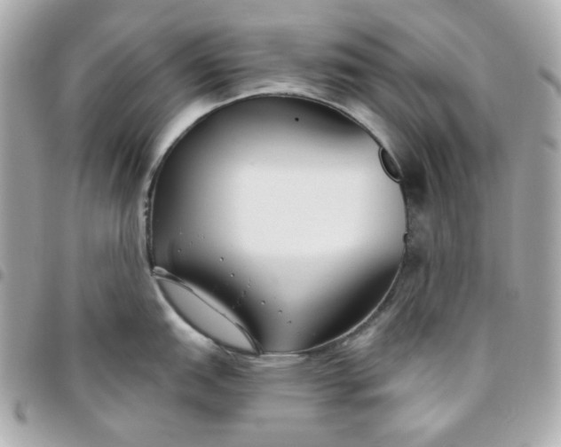 X0000096211151200802011316