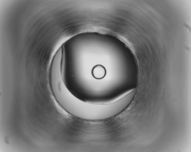 X0000096211152200802011316