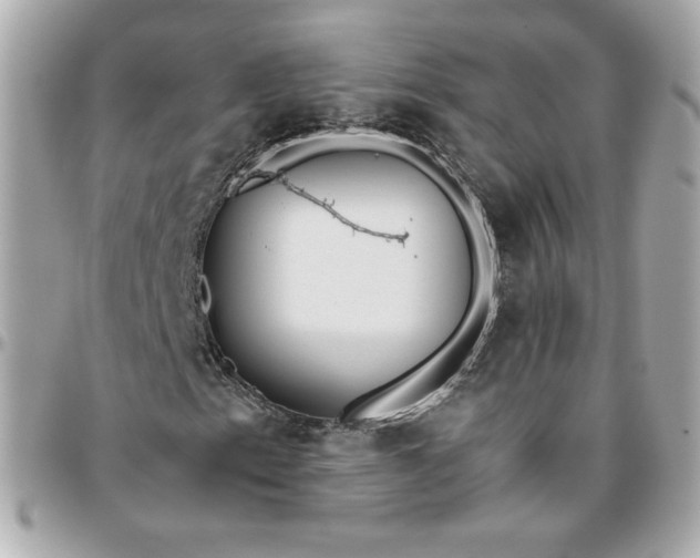 X0000096211153200802011315