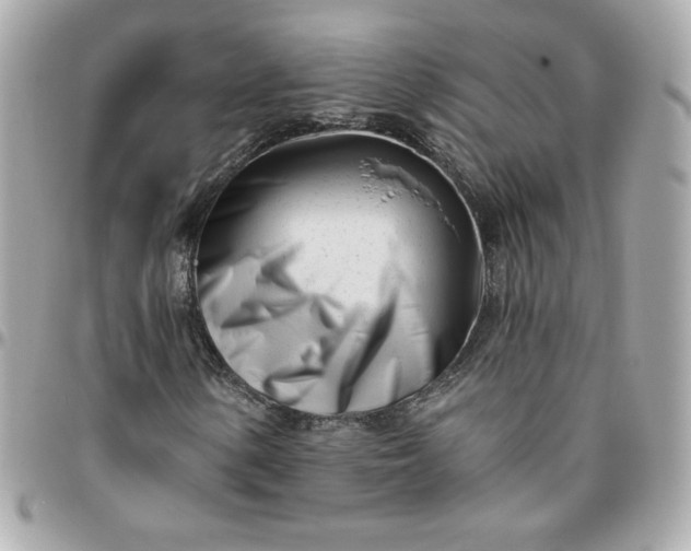 X0000096211154200802011315