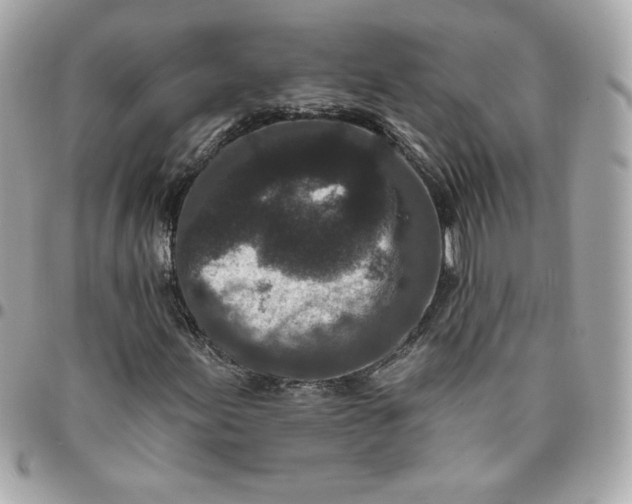 X0000096211155200802011315