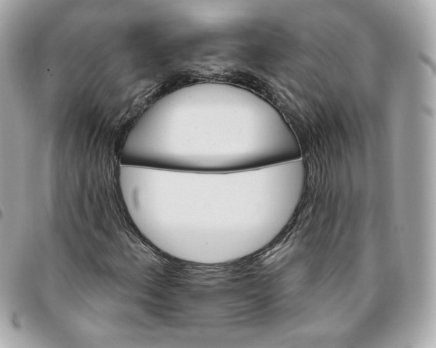 X0000096211156200802011315