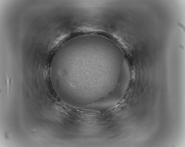 X0000096211157200802011315