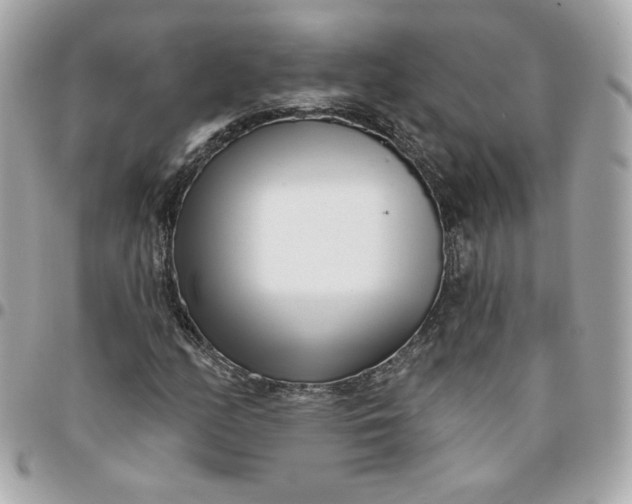 X0000096211158200802011315