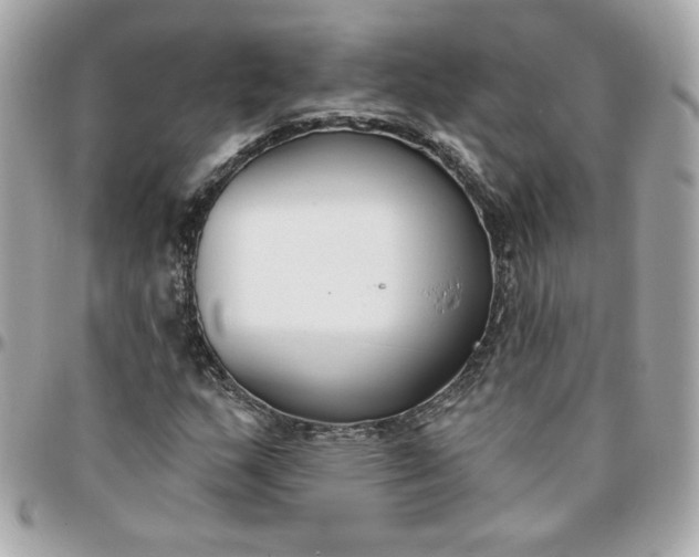 X0000096211159200802011315