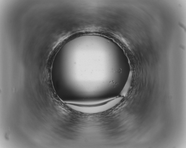 X0000096211160200802011315