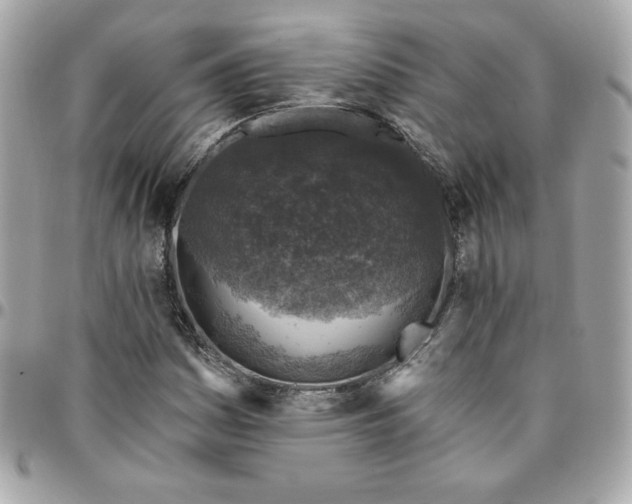 X0000096211161200802011315