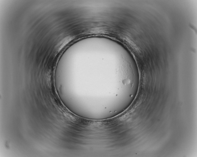 X0000096211162200802011315