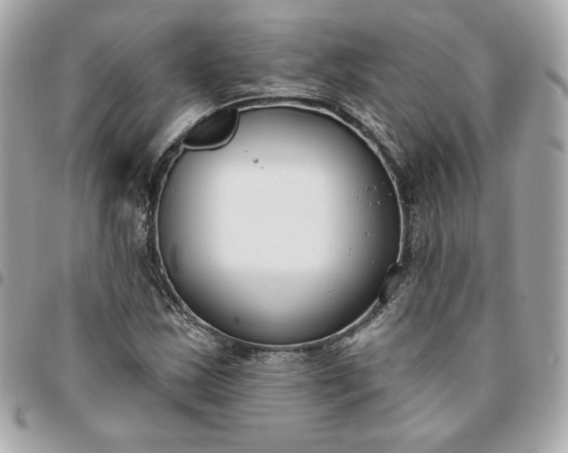 X0000096211163200802011315