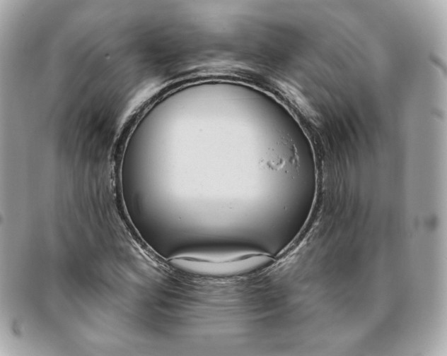 X0000096211164200802011315