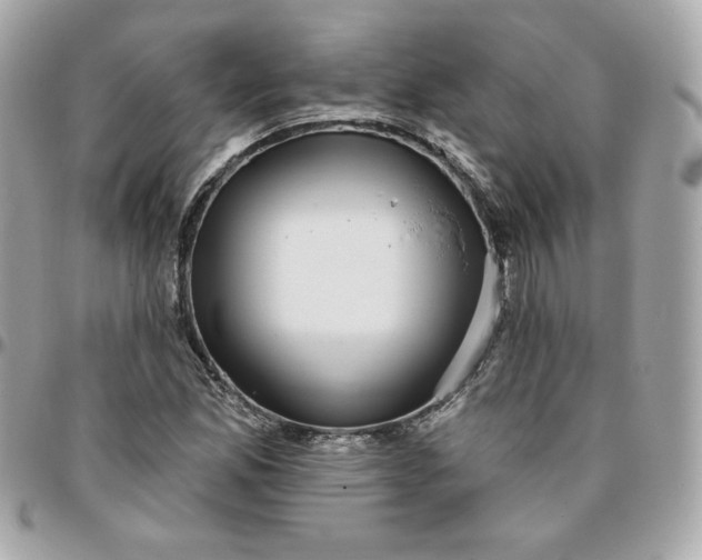 X0000096211165200802011315