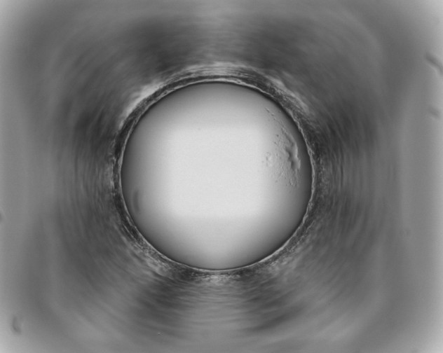 X0000096211166200802011315