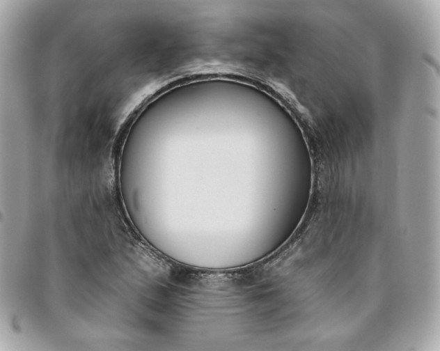 X0000096211167200802011315