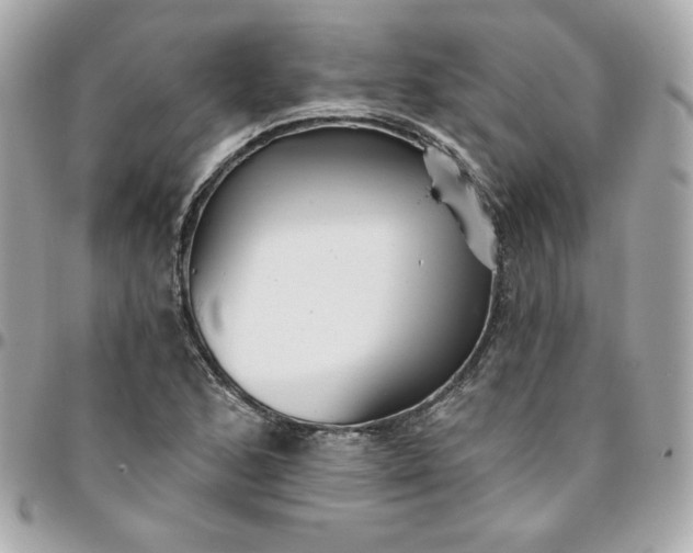 X0000096211168200802011315