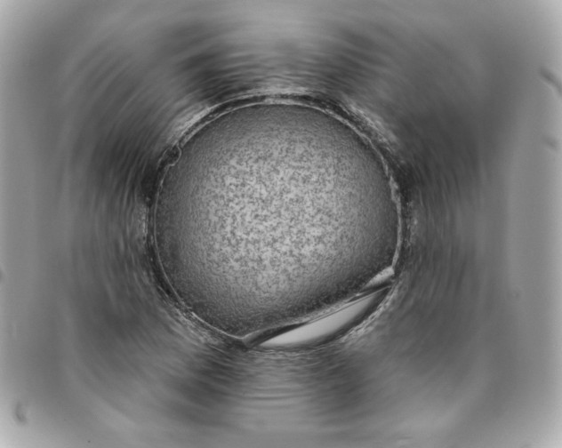 X0000096211169200802011315