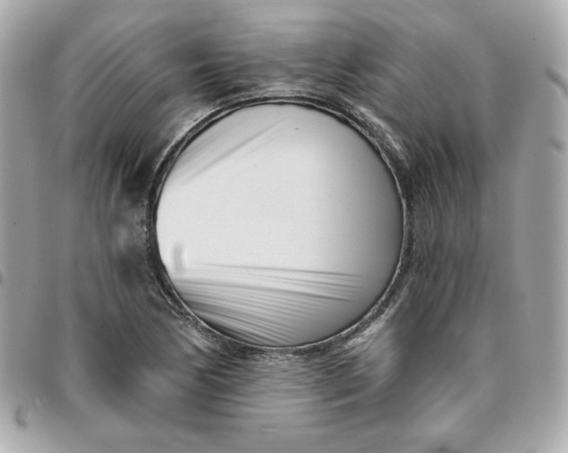 X0000096211170200802011315