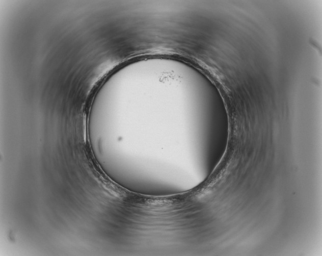 X0000096211171200802011315