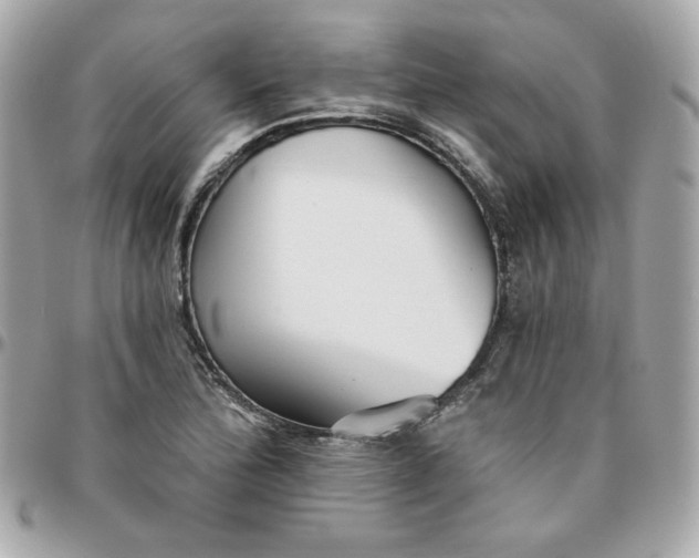 X0000096211172200802011315