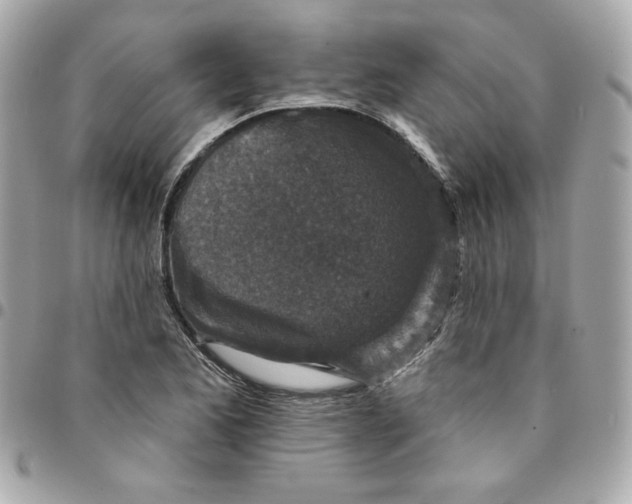 X0000096211173200802011315