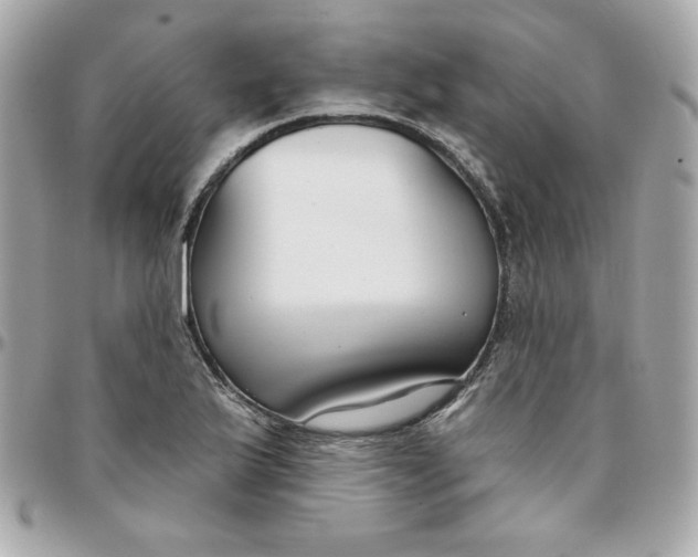 X0000096211175200802011315