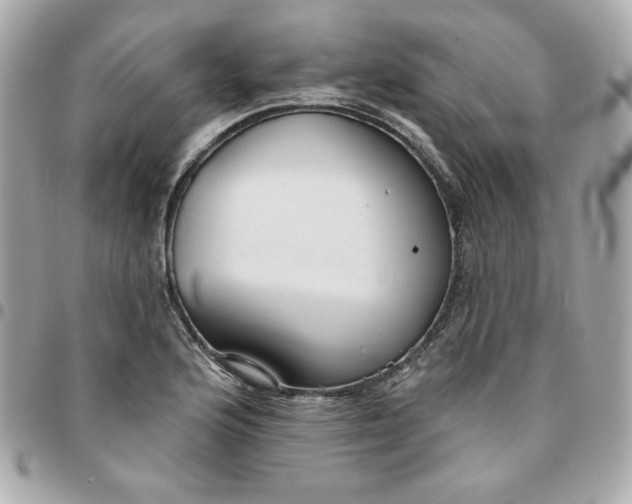 X0000096211176200802011315