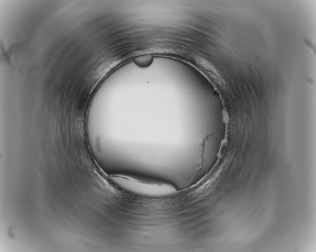 X0000096211177200802011315