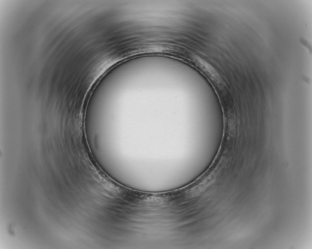 X0000096211178200802011315