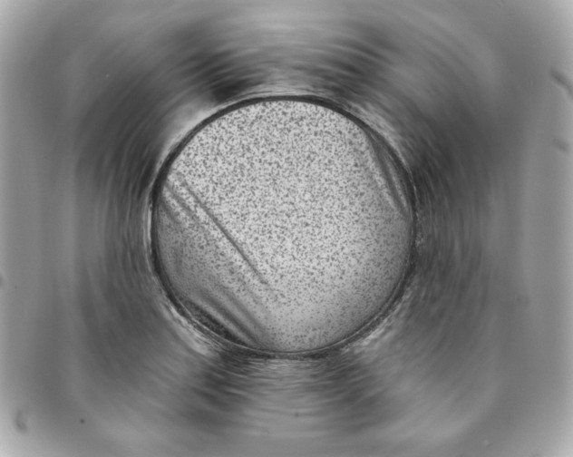 X0000096211179200802011315