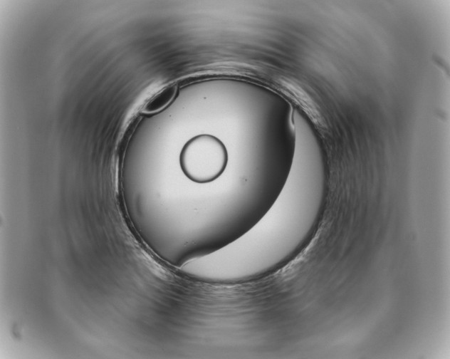 X0000096211180200802011315