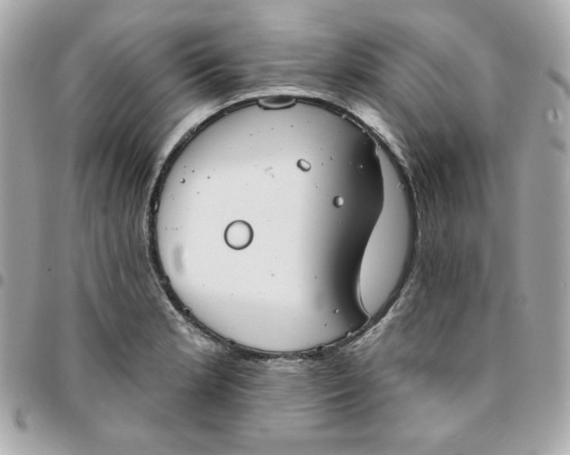 X0000096211181200802011315