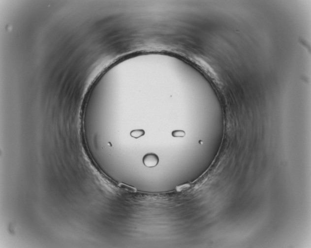 X0000096211183200802011315