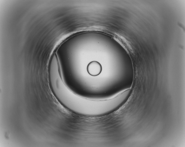 X0000096211184200802011315