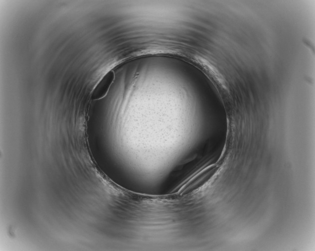 X0000096211185200802011315