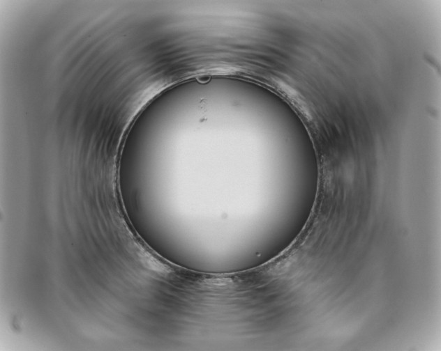 X0000096211186200802011315