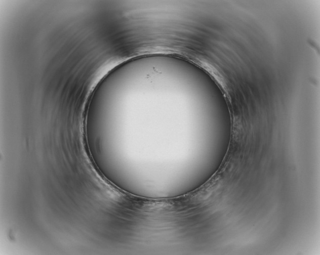 X0000096211187200802011315