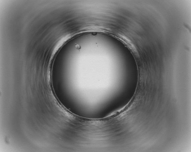 X0000096211188200802011315