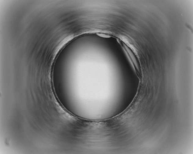 X0000096211189200802011315