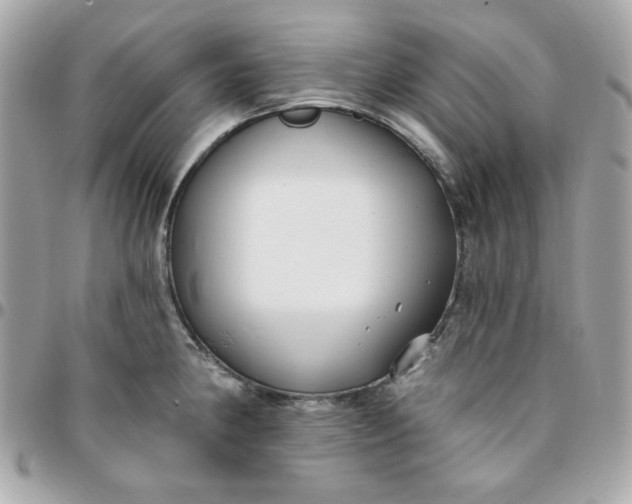 X0000096211190200802011315