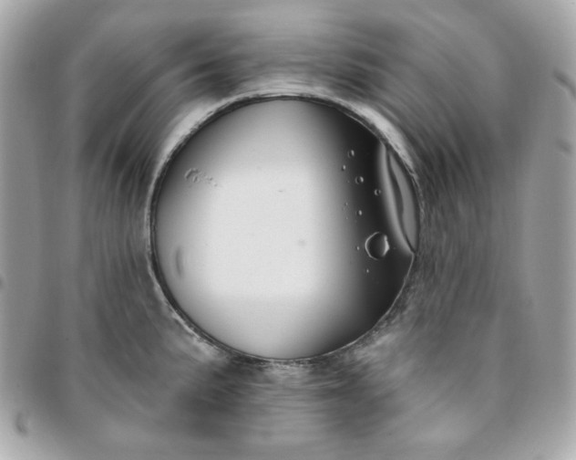 X0000096211191200802011315