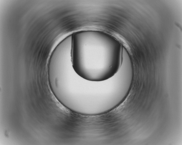 X0000096211192200802011315